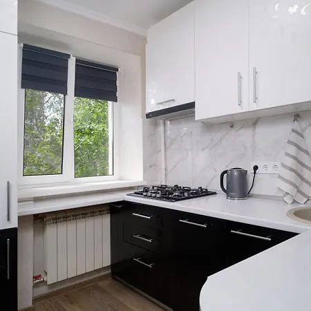 One-room On Shevchenko Avenue 27 Apartment Odesa